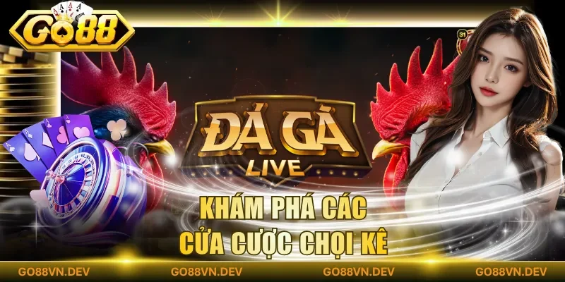 Khám phá các cửa cược chọi kê