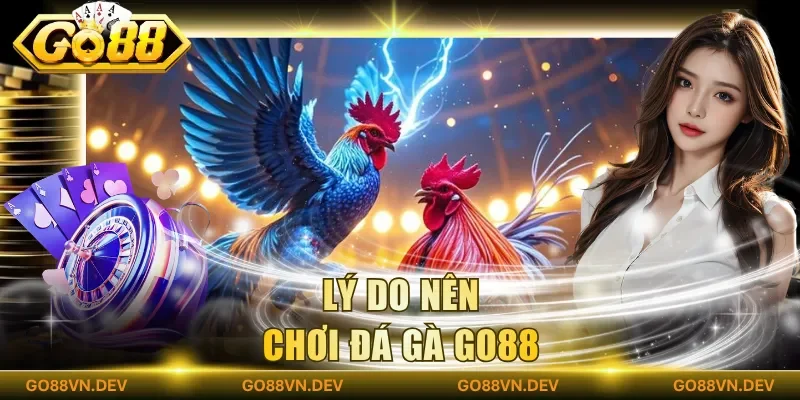 Lý do nên chơi đá gà Go88