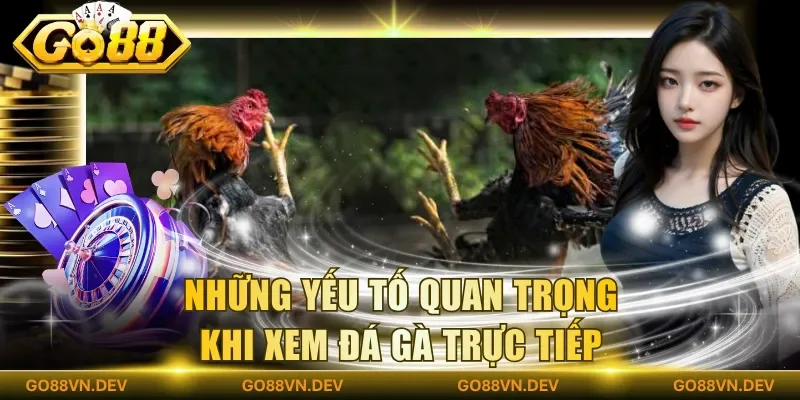 Những yếu tố quan trọng khi xem đá gà trực tiếp