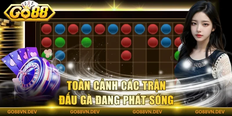 Toàn cảnh các trận đấu gà đang phát sóng
