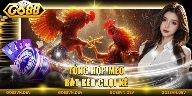 Tổng hợp mẹo bắt kèo chọi kê